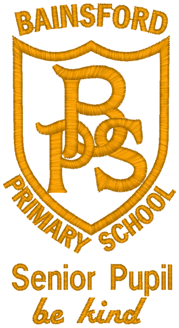 Bainsford Primary School P7