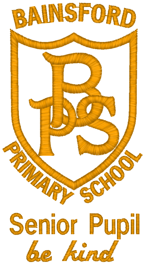 Bainsford Primary School P7