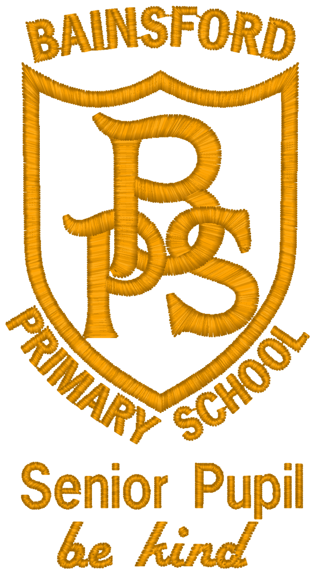 Bainsford Primary School P7