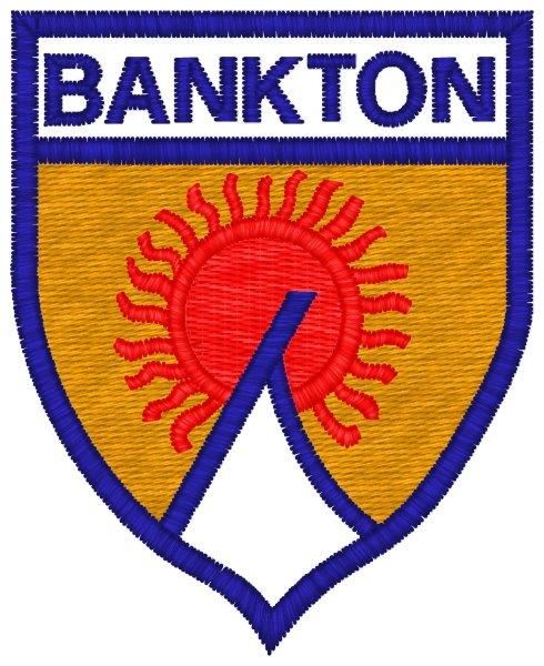 Bankton Primary School **P7**