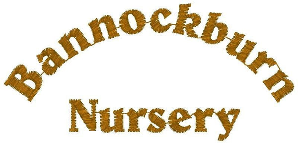 Bannockburn Nursery Class