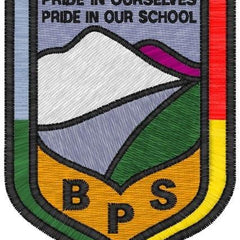 Collection image for: Bannockburn Primary 7