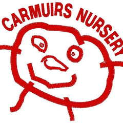Collection image for: Carmuirs Nursery Class