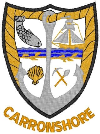 Carronshore Primary School