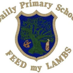 Collection image for: Dailly Primary School
