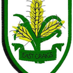 Collection image for: East Craigs Primary School