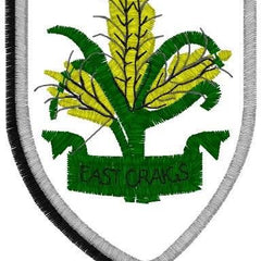 Collection image for: East Craigs PS Primary 7