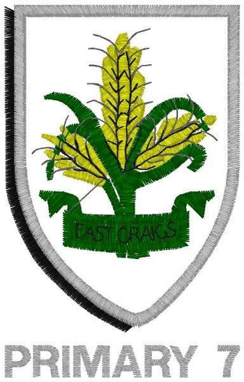 East Craigs PS Primary 7