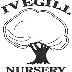 Collection image for: Ivegill Nursery