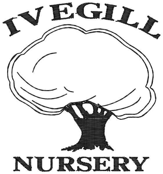 Ivegill Nursery