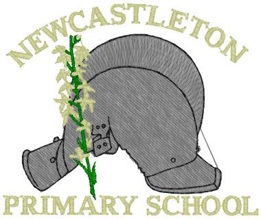 Newcastleton Primary School