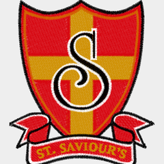 Collection image for: St Saviours Primary School