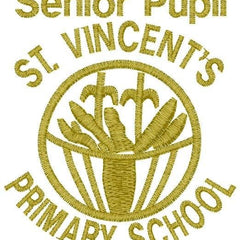 Collection image for: St Vincents Primary P7