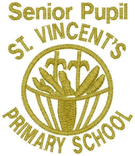 St Vincents Primary P7