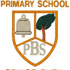 Collection image for: Barnhill Primary School SENIOR PUPILS