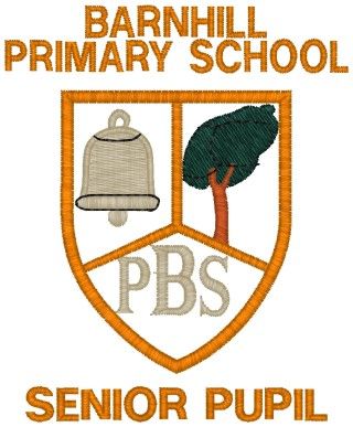 Barnhill Primary School SENIOR PUPILS