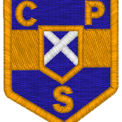 Collection image for: Castlepark Primary School