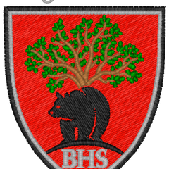 Collection image for: Berwickshire High School Hockey