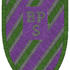 Collection image for: Birkhill Primary School
