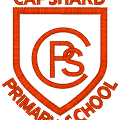 Collection image for: Capshard Primary School