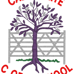 Collection image for: Calthwaite CE Primary School