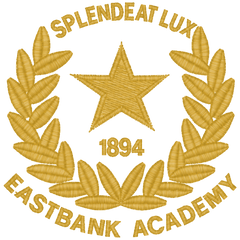 Collection image for: Eastbank Academy