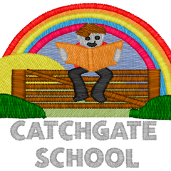 Collection image for: Catchgate Primary School