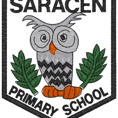Collection image for: Saracen Primary School