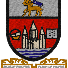 Collection image for: Ayr Academy