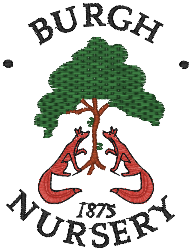 Burgh Nursery