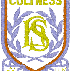 Collection image for: Coltness High School