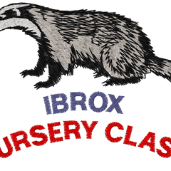 Collection image for: Ibrox Nursery