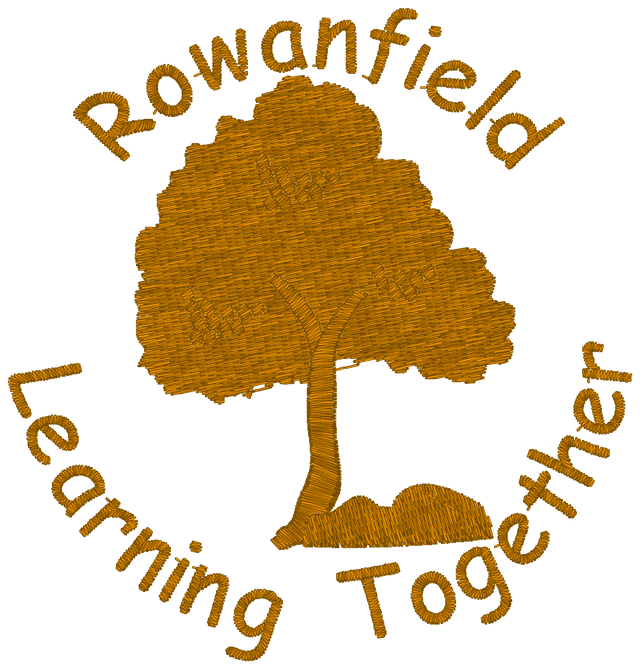 Rowanfield Primary School P7