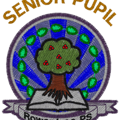 Collection image for: Rowantree Primary School Senior Pupil