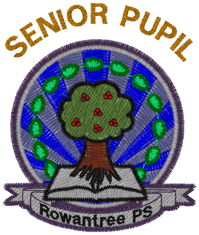 Rowantree Primary School Senior Pupil