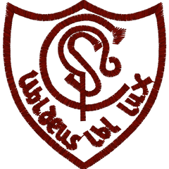 Collection image for: St Cadocs Primary School Cambuslang