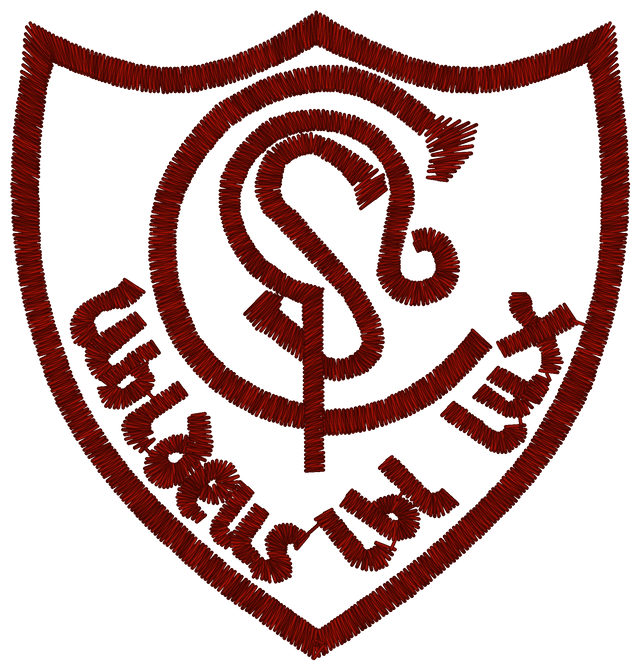 St Cadocs Primary School Cambuslang