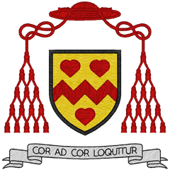 Collection image for: St John Henry Newman Catholic School