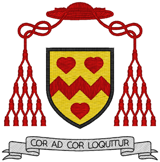 St John Henry Newman Catholic School