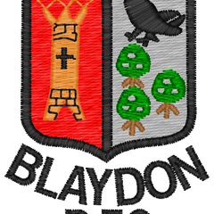 Collection image for: BLAYDON RFC