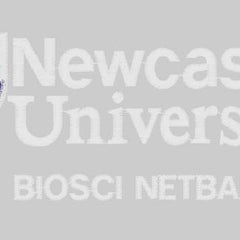 Collection image for: NEWCASTLE UNIVERSITY