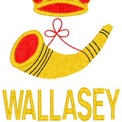 Collection image for: WALLASEY RUFC