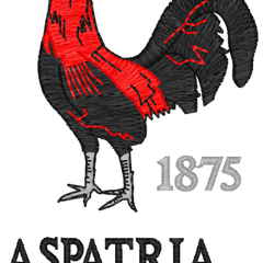 Collection image for: ASPATRIA RUFC