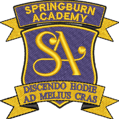 Collection image for: Springburn Academy