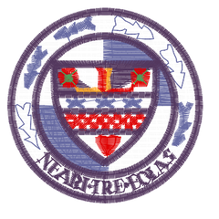 Collection image for: Douglas Academy