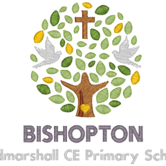 Collection image for: Bishopton Redmarshall