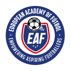 Collection image for: European Academy of Futbol