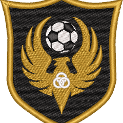 Collection image for: T6 Football Academy (Trinity 6th Form College)