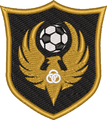 T6 Football Academy (Trinity 6th Form College)