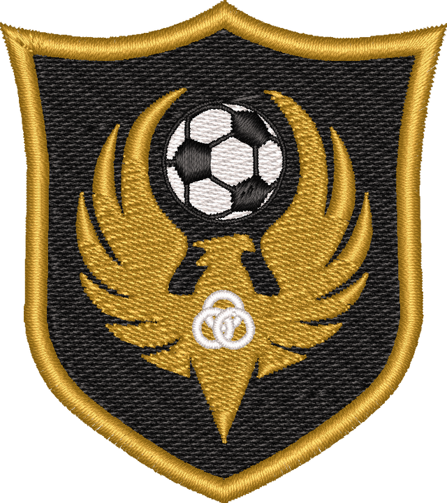 T6 Football Academy (Trinity 6th Form College)
